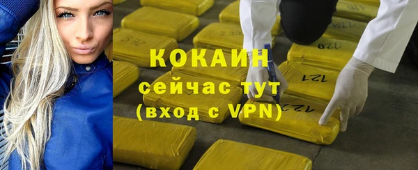 соль ск Арсеньев