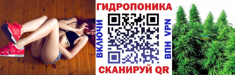 Бошки марихуана гибрид  как найти закладки  Томмот 